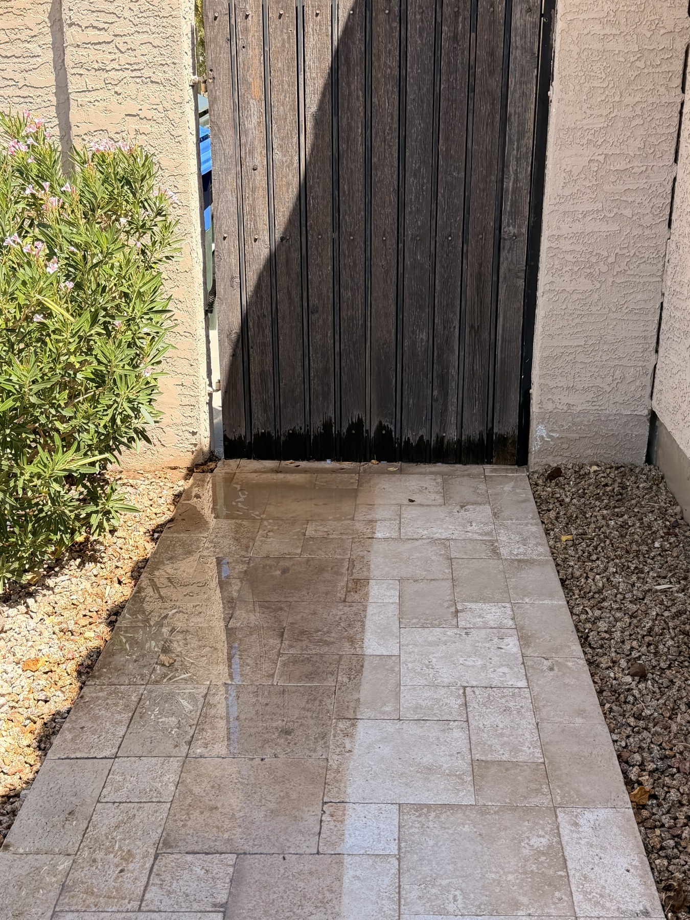 A paver walkway mid-wash: the near half a noticeably lighter tone than the still-dirty far half, water staining the wood gate above it